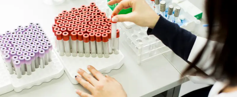 Plusalud - Seguridad y Salud en el Trabajo